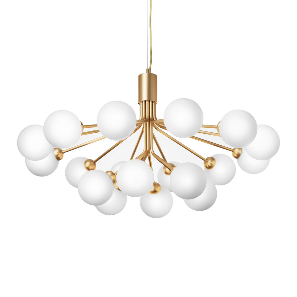 Apiales 18 Brushed Brass/ Opal White