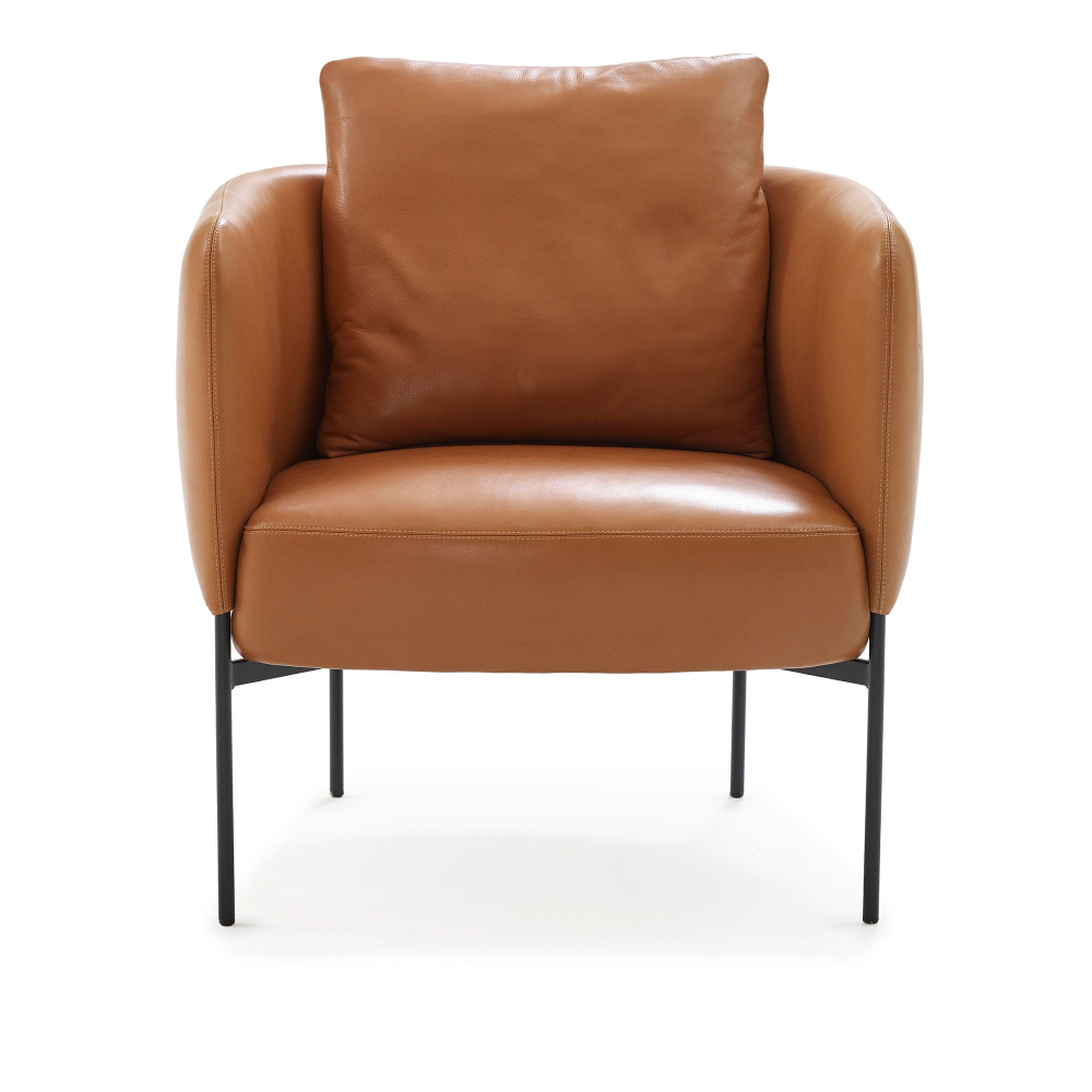 Bonnet Club Chair,LeatherUpholstery,Black MetalLegRemovable Upholstery