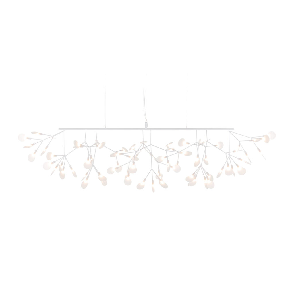 Heracleum III Linear White