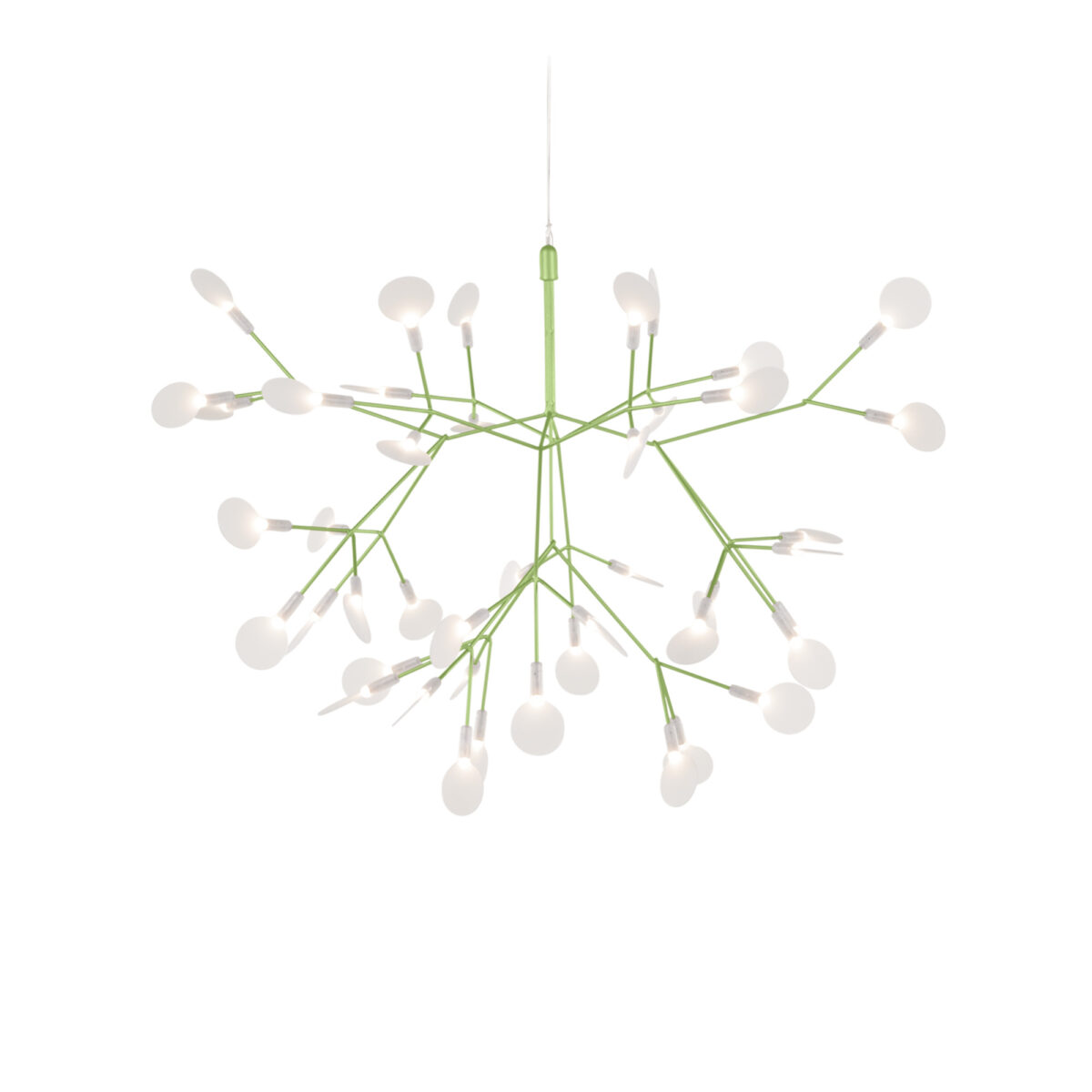 Heracleum III Suspended Small / Green