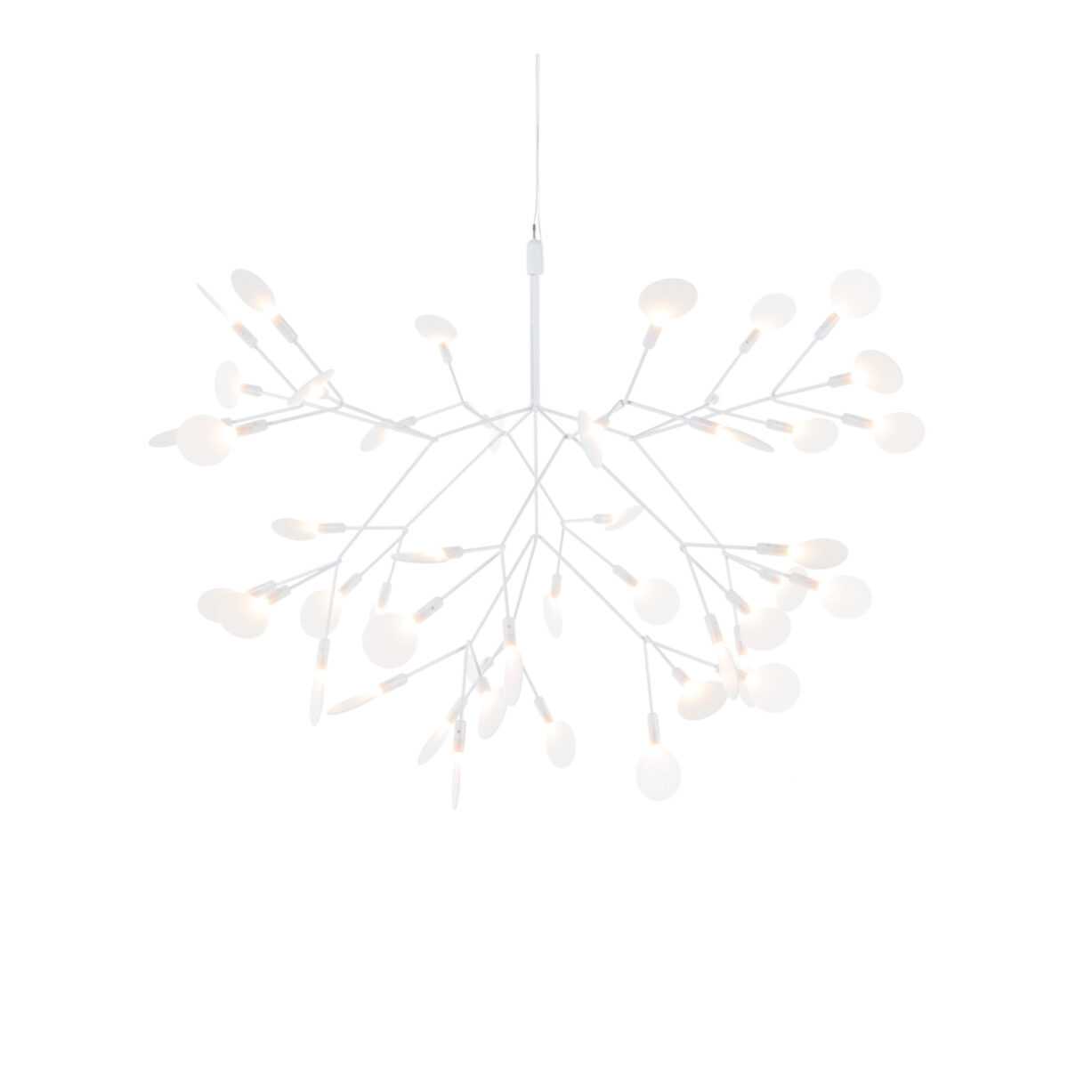 Heracleum III Suspended Small / White