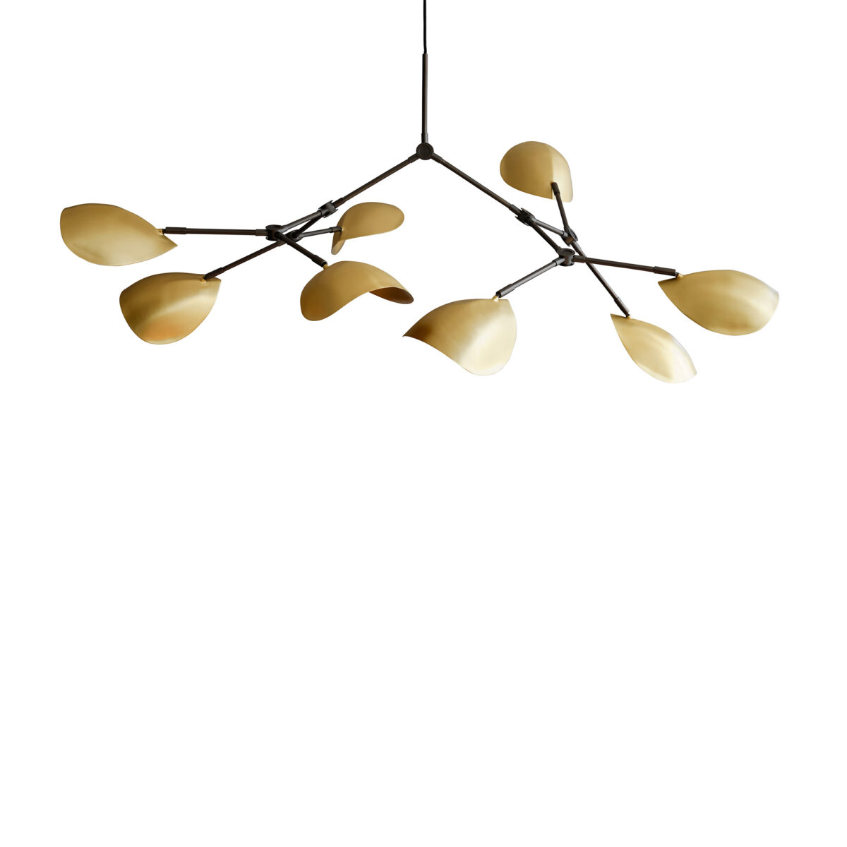 Stingray Chandelier Brass